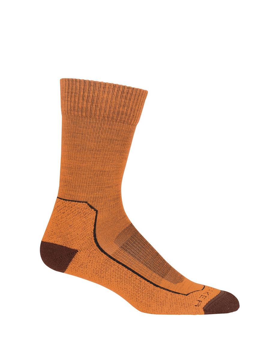 Flash / Espresso Icebreaker Merino Hike+ Light Crew Women's Socks | AU 1424CTVE